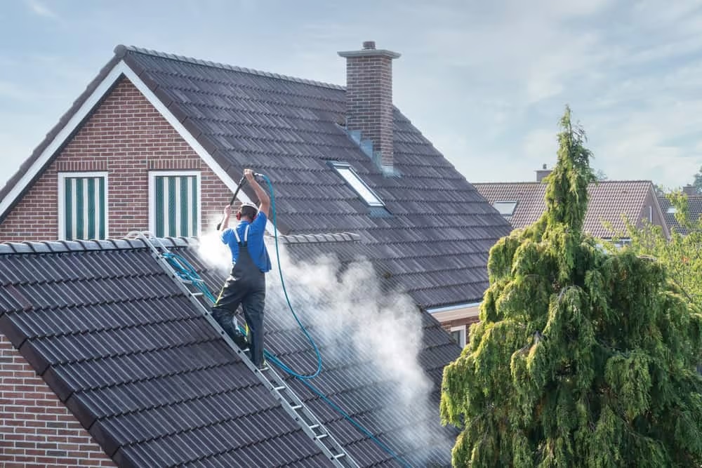 Roof Moss Removal